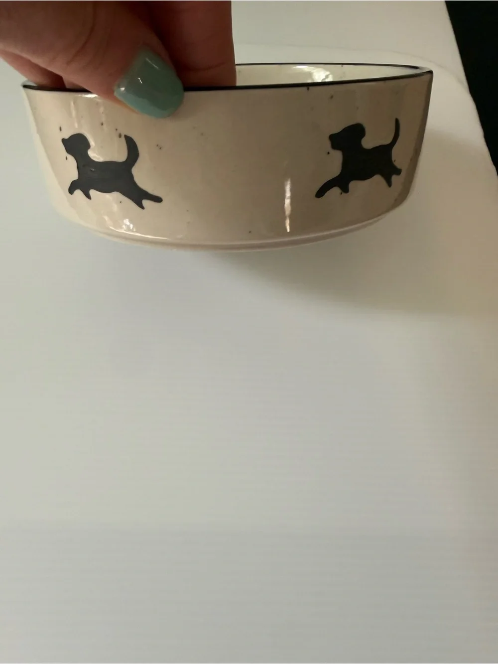 PetRageous Designs Dog Ceramic Pet Bowl - Beige
